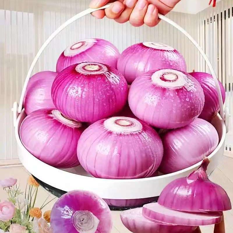 超植牙牙鼠果树苗木专卖店