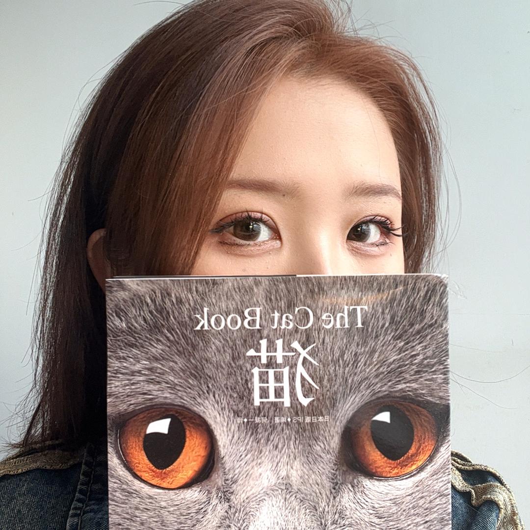 奶油家的猫（在杭州卖猫）