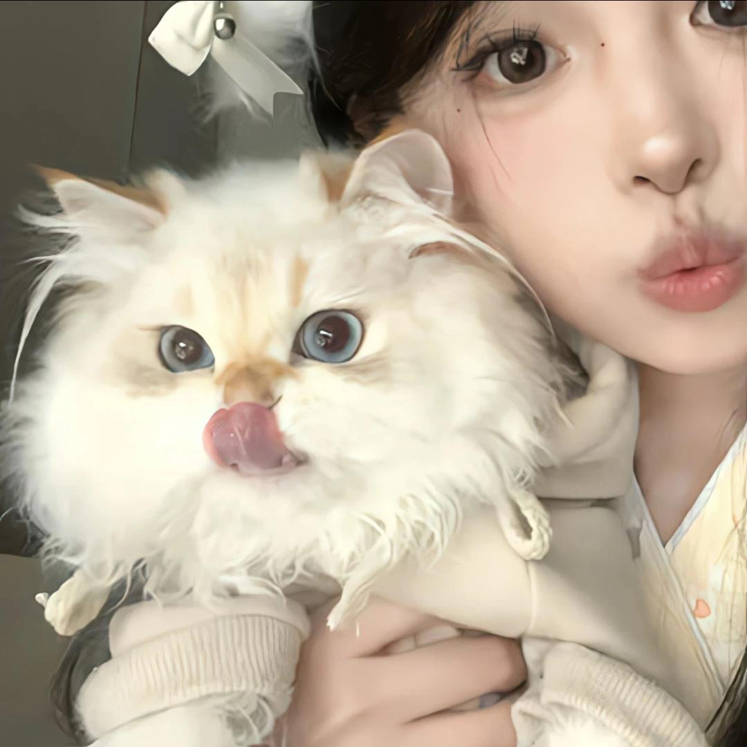 Kitten