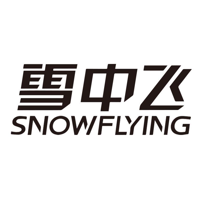 雪中飞珞宸专卖店