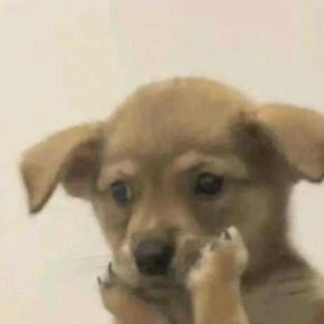 我感觉不到开心