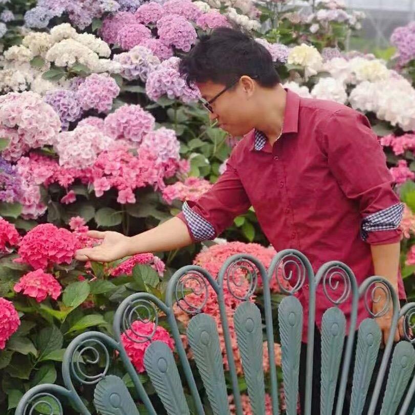 半生花世