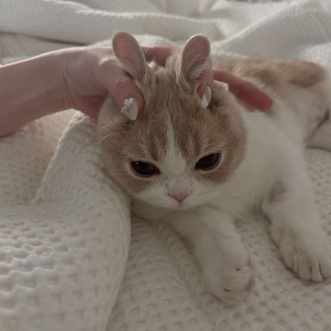 圆满