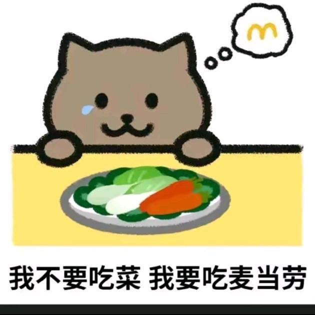 职业上分王者工作室