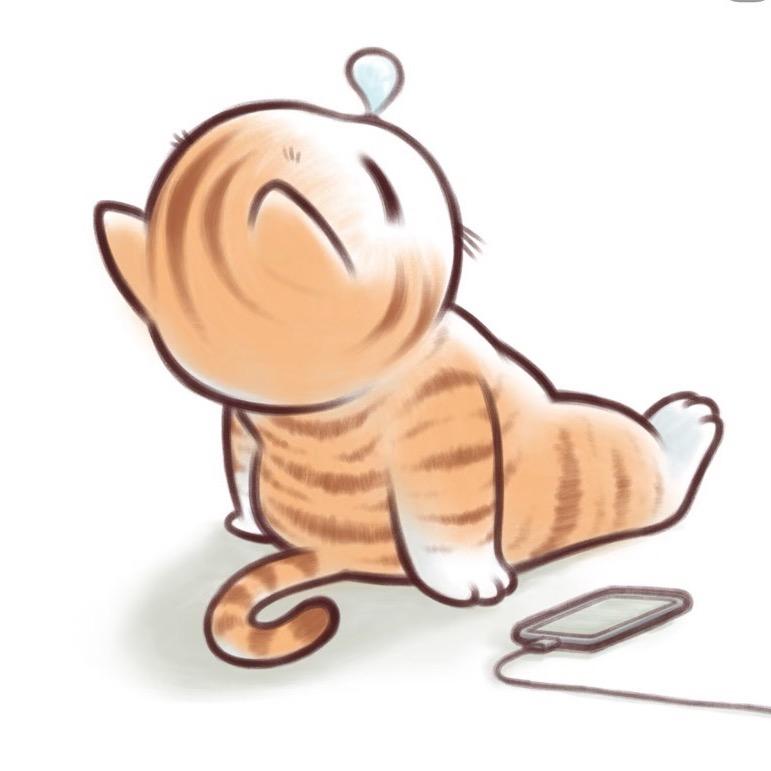 盛京禧猫🐱高端繁育