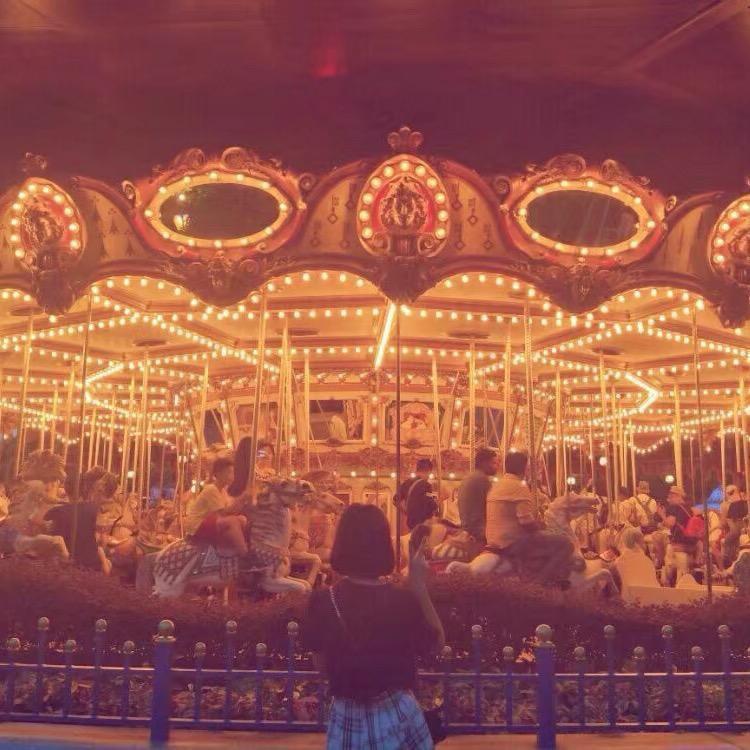 保罗lily