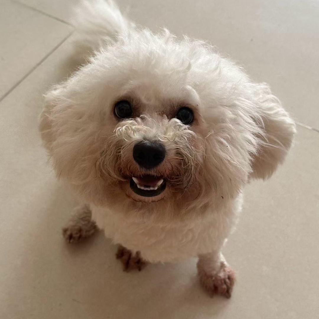 超级无敌暴龙战神(不上晚修版)