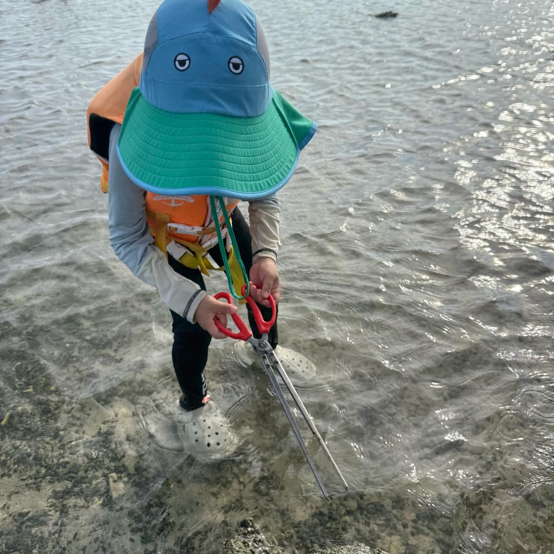 赶海日记小何