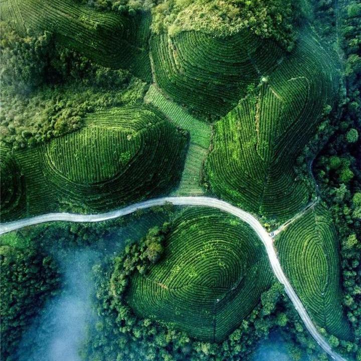爱拍者（穆）
