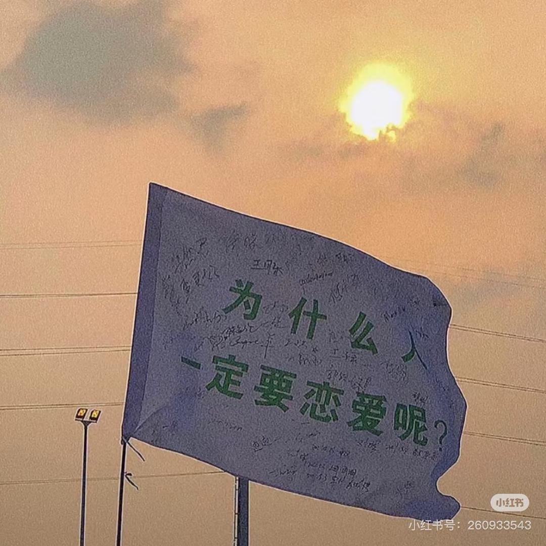🌈甘甘王