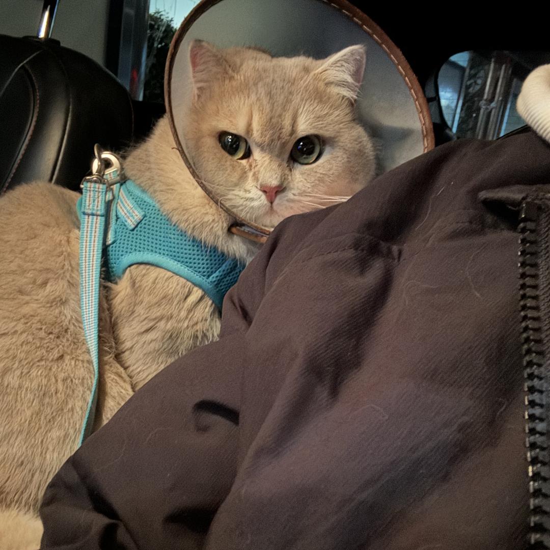 得閑发财