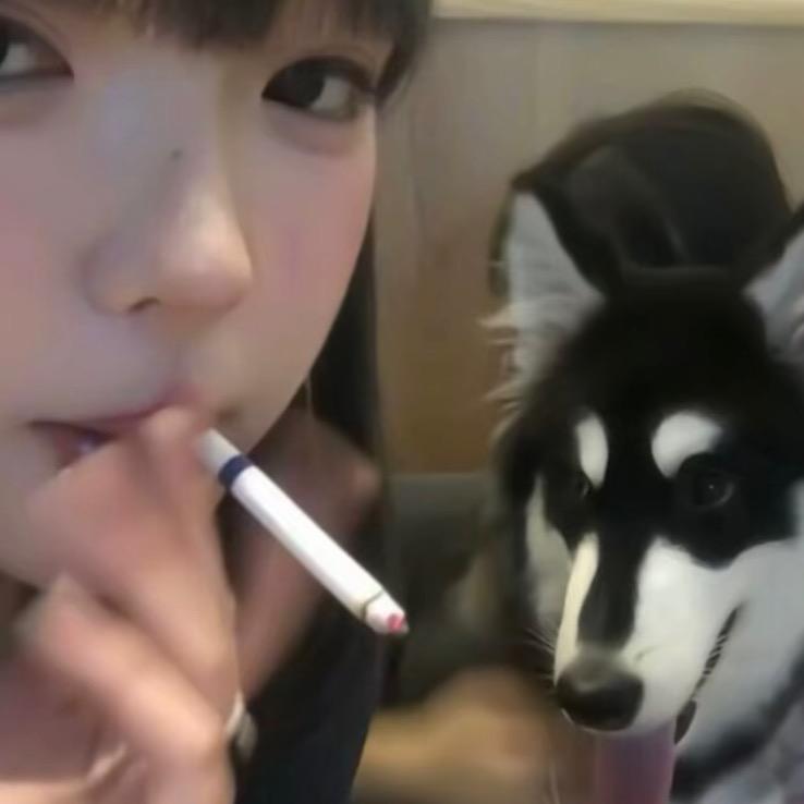 凌晨说晚安！