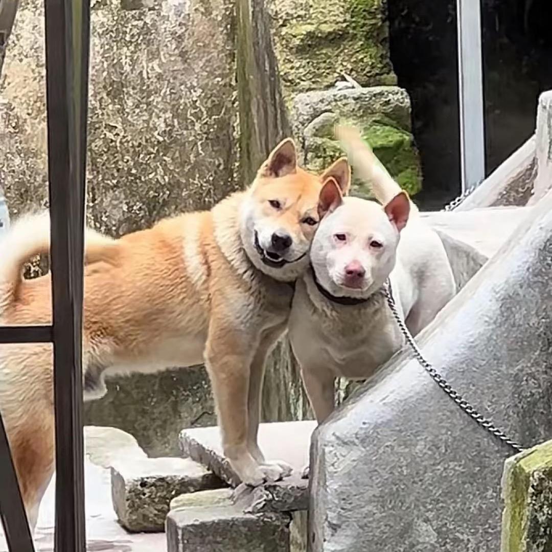 🌈中午吃什么～🧋