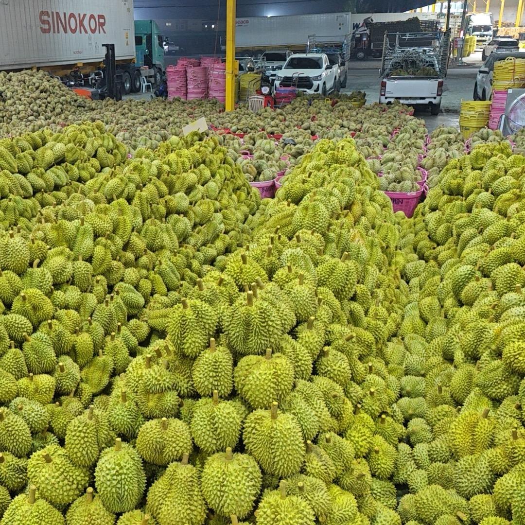 榴行者小何