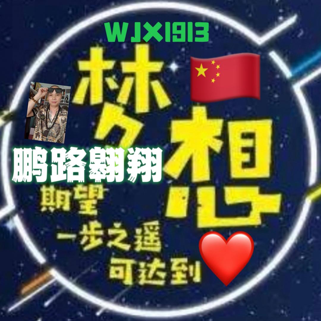 鹏路翱翔