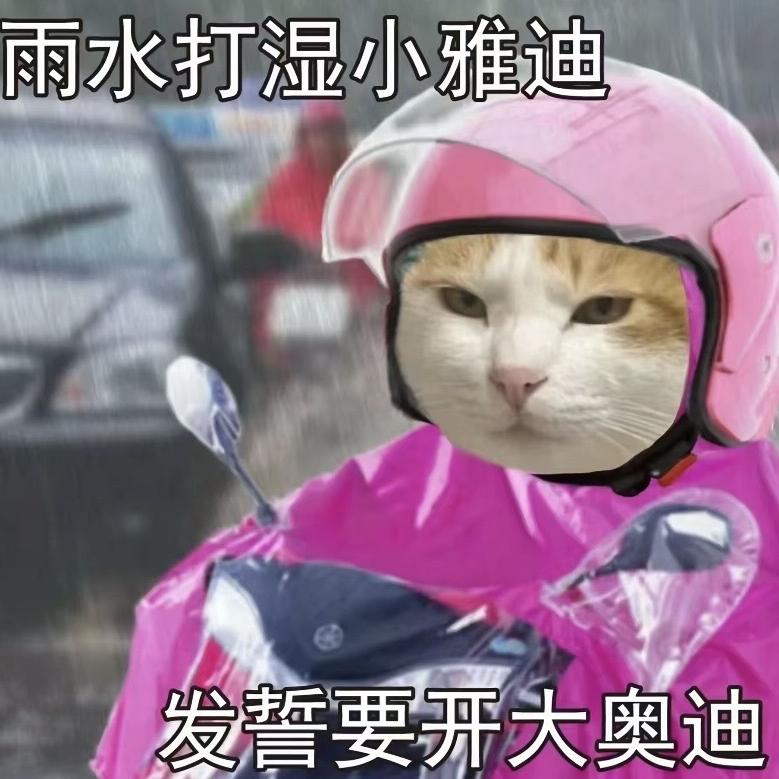 夏津儒成互联网