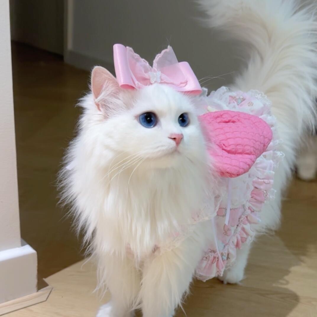 М༏α 🧸ིྀ