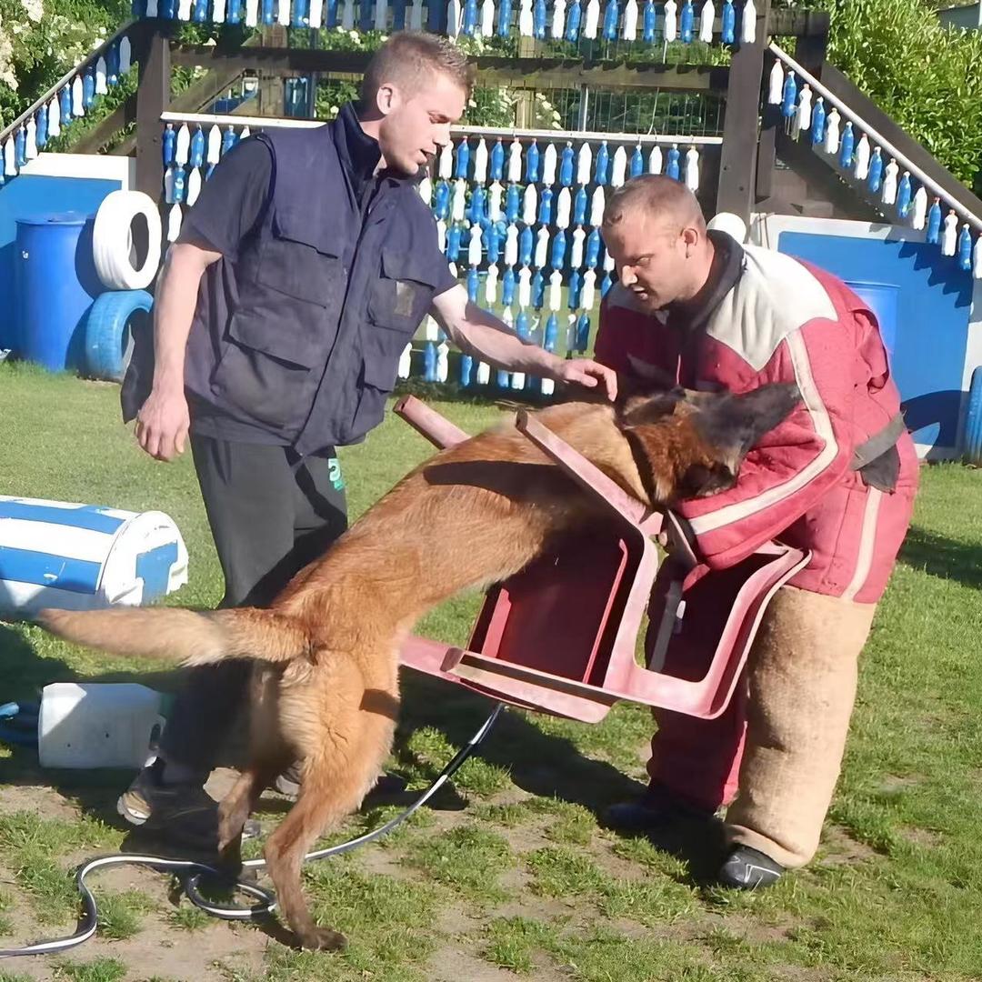 ぃ╃→   小虎 ⇆ 拉K࿐