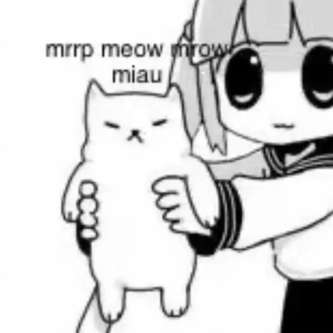 古怪猫