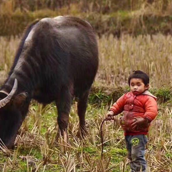 Mr  ·  XU ᝰꫛꫀꪶ