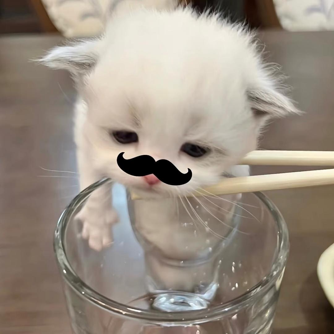 小猫猫猫丸