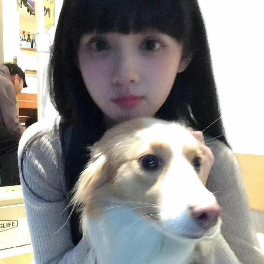 想养只小狗