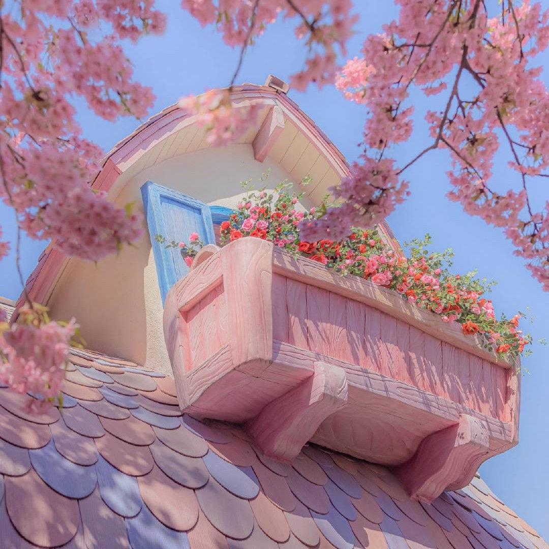 ☀️Forever Young🌷