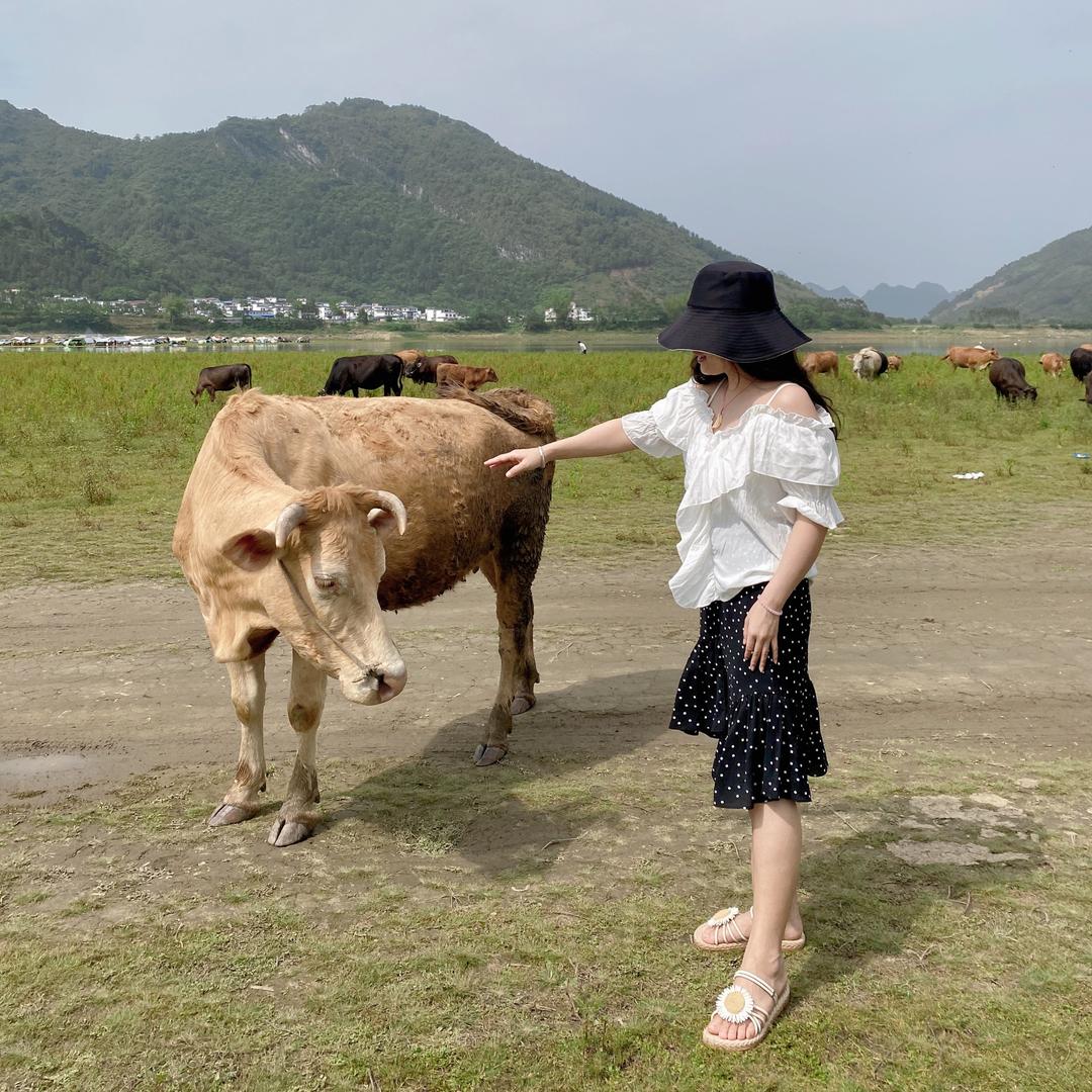 幸运小锦李🥰