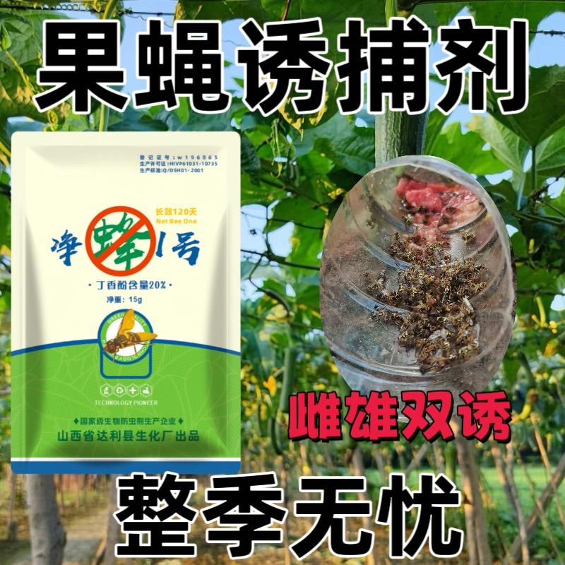 针蜂果实蝇克星