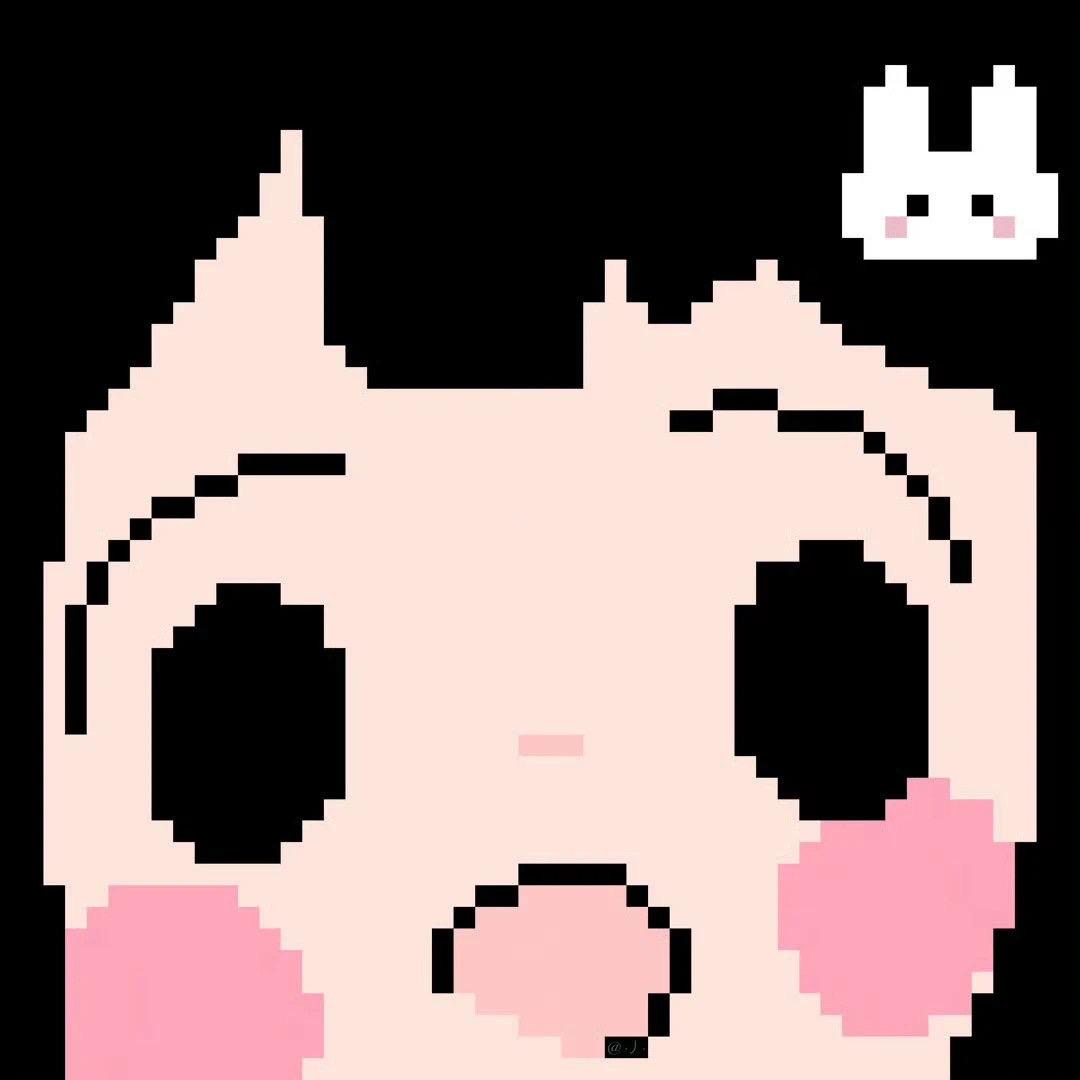 Polly丁