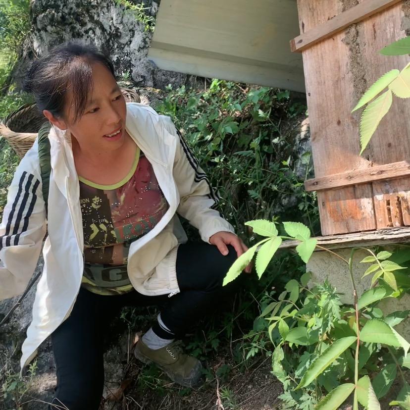 永珍土蜂蜜