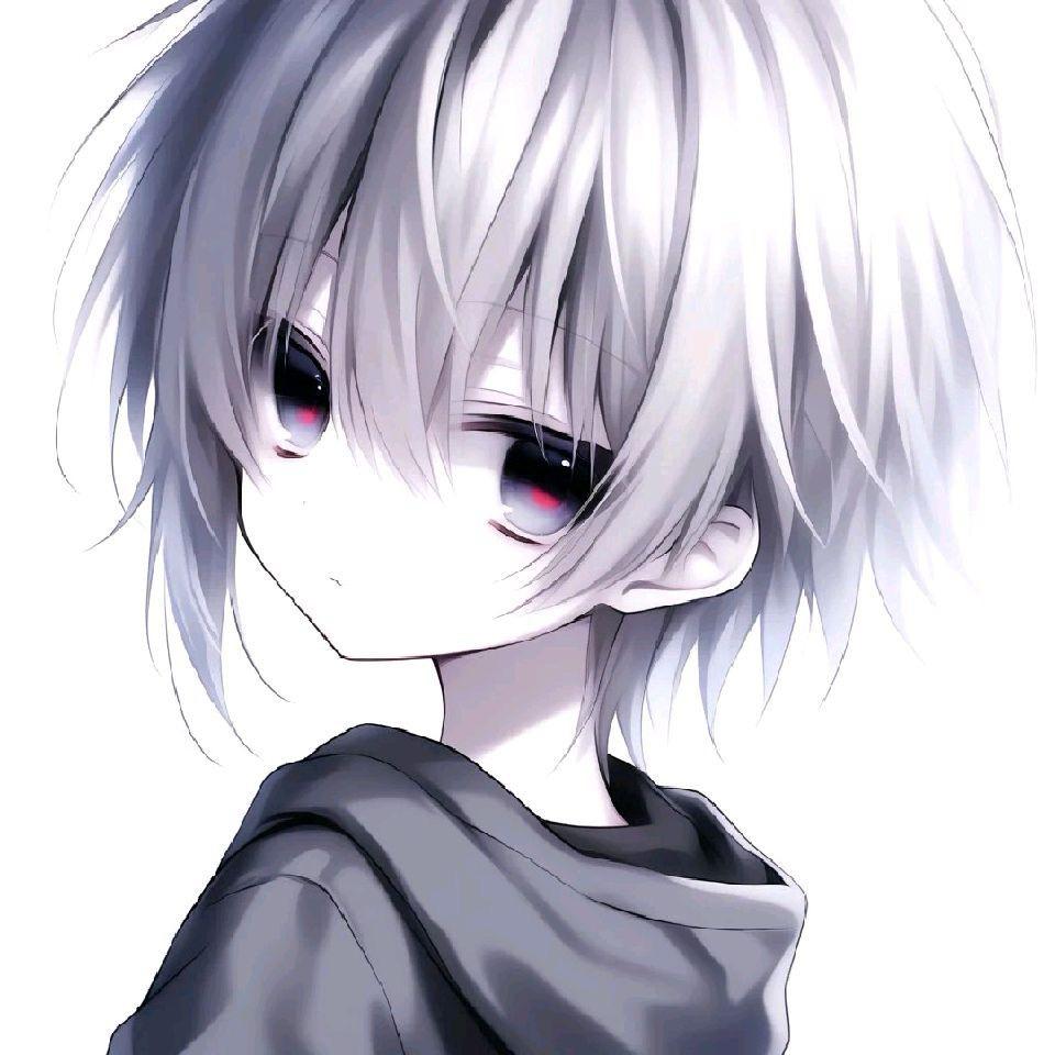小杰笨笨笨