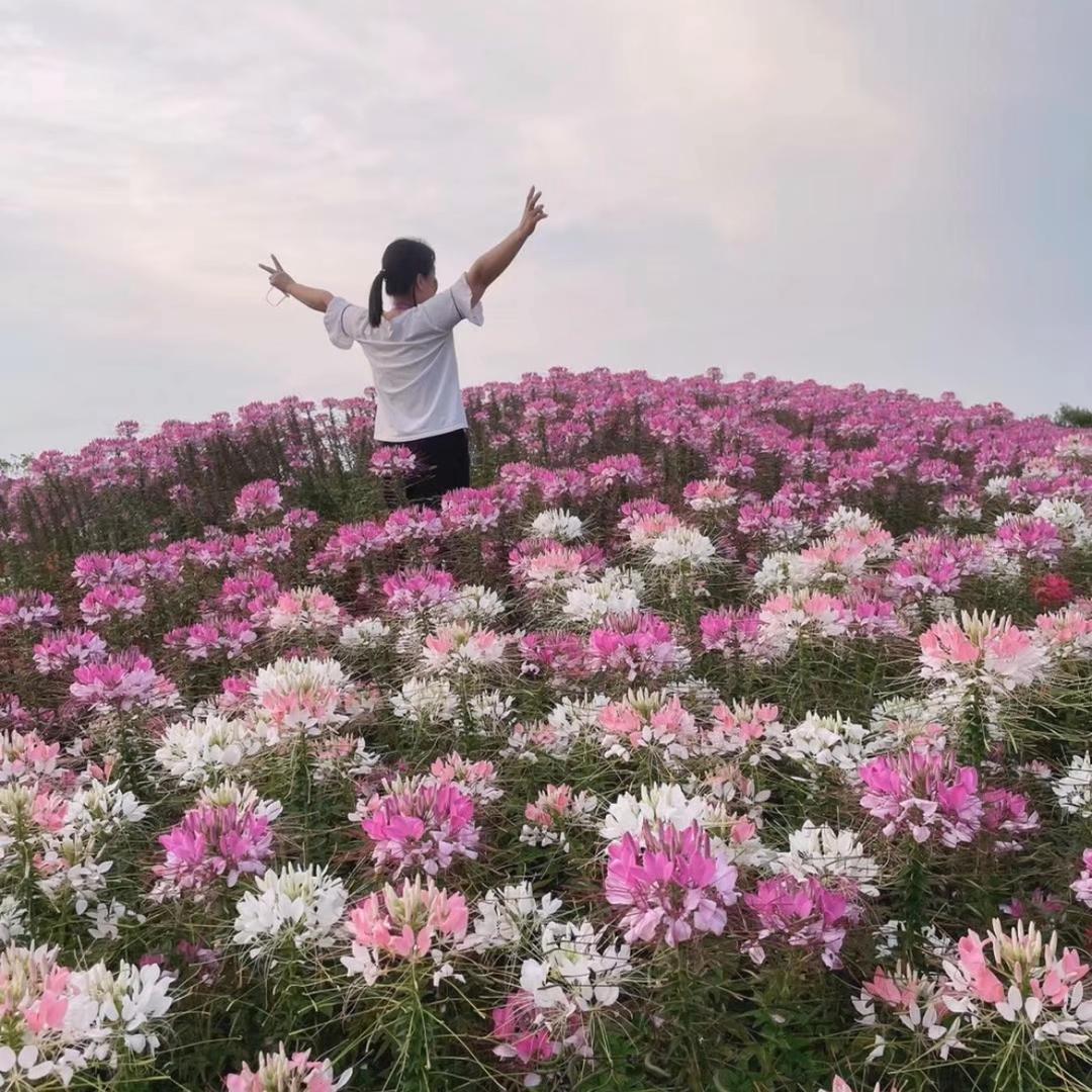 王小丫
