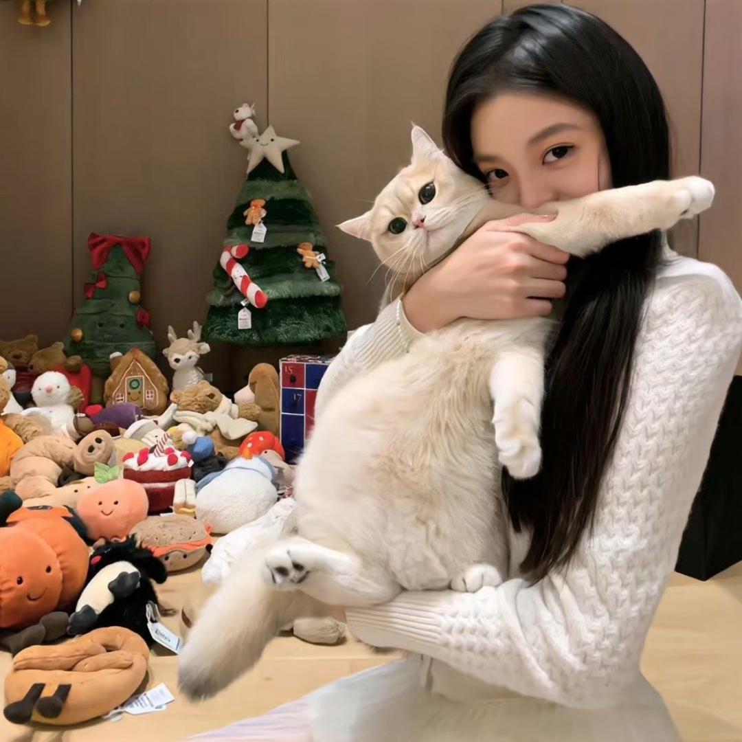 小铁汁