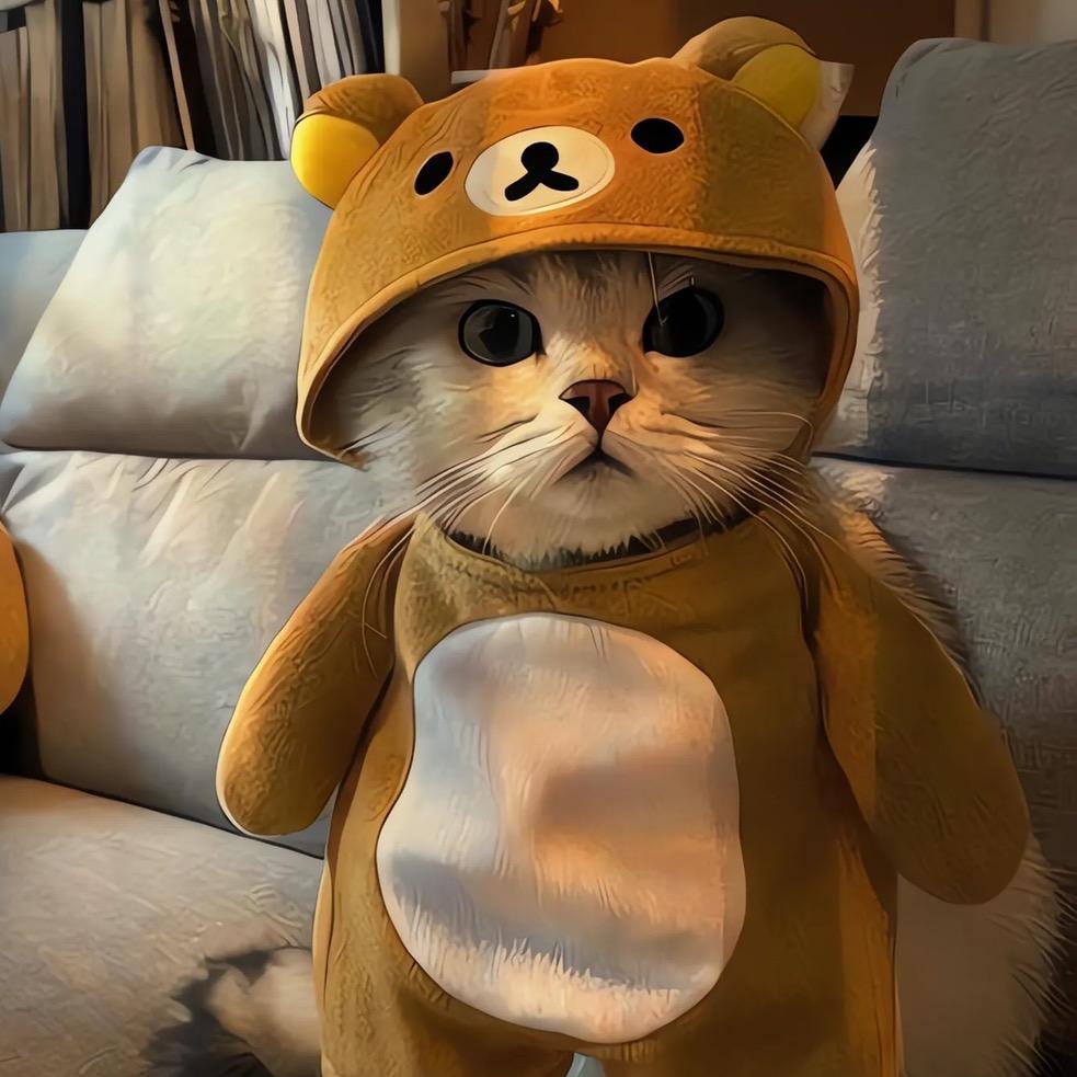 ┾…