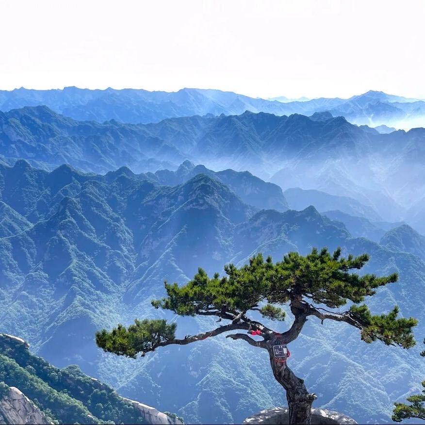 钟艾堂艾制品厂