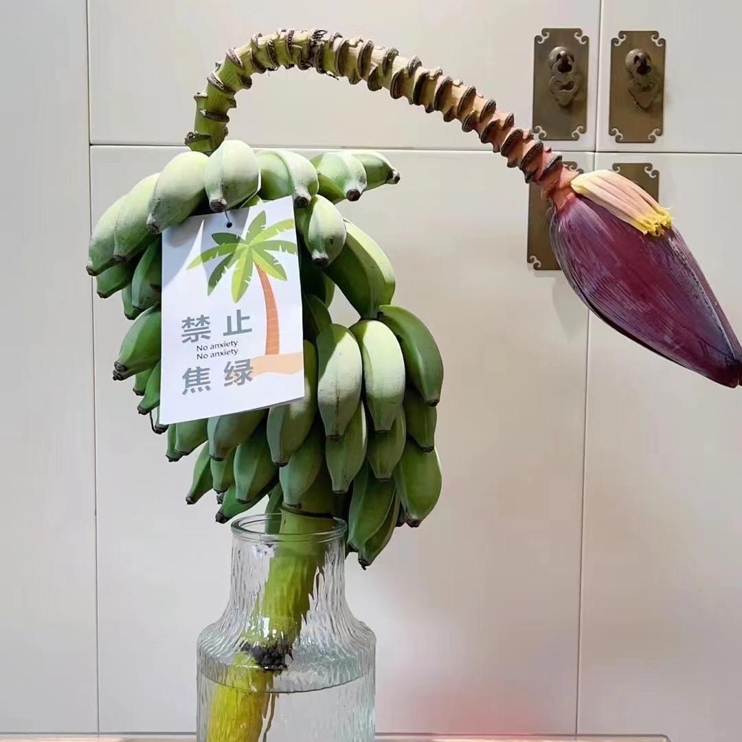 潃釋說