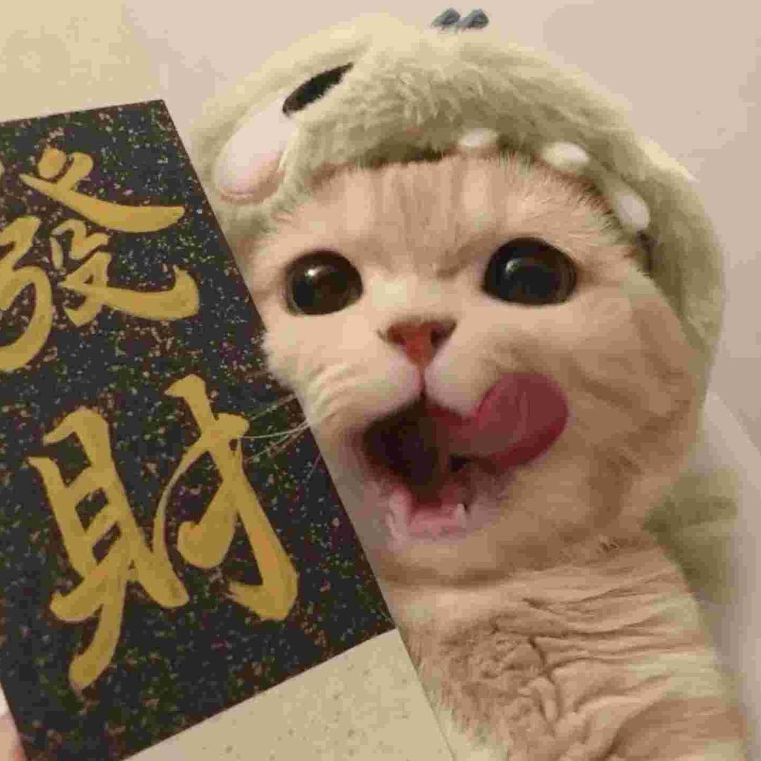 我睡觉的时候不困