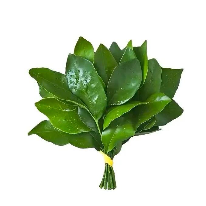 我不是脑花