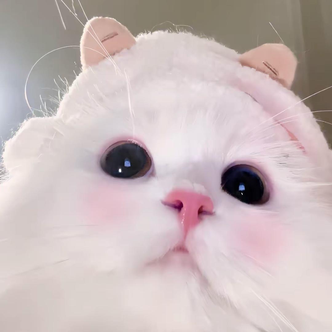 童童💕