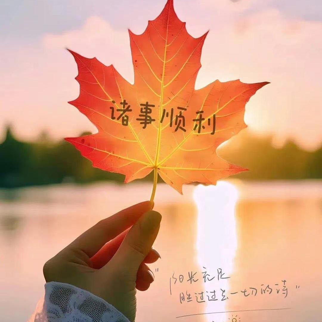 苒然优选