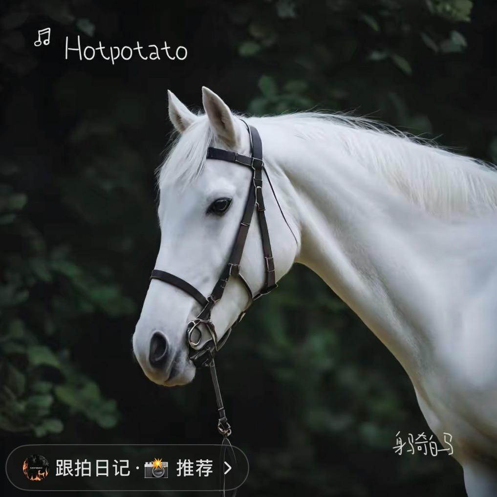 跟拍日记·📸