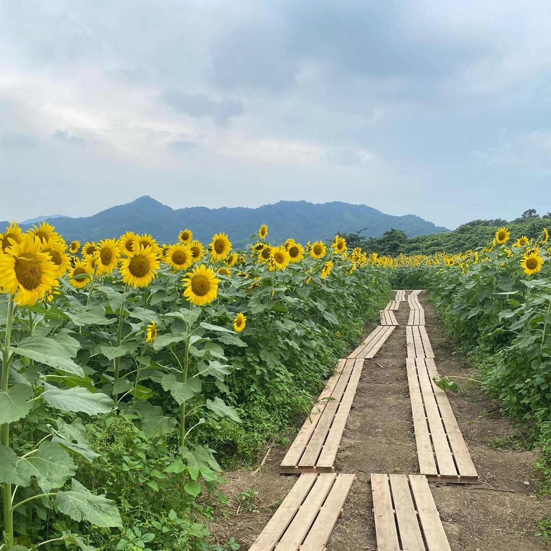 几许微风↘╄→