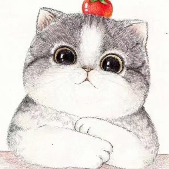 爱吃🐟的猫