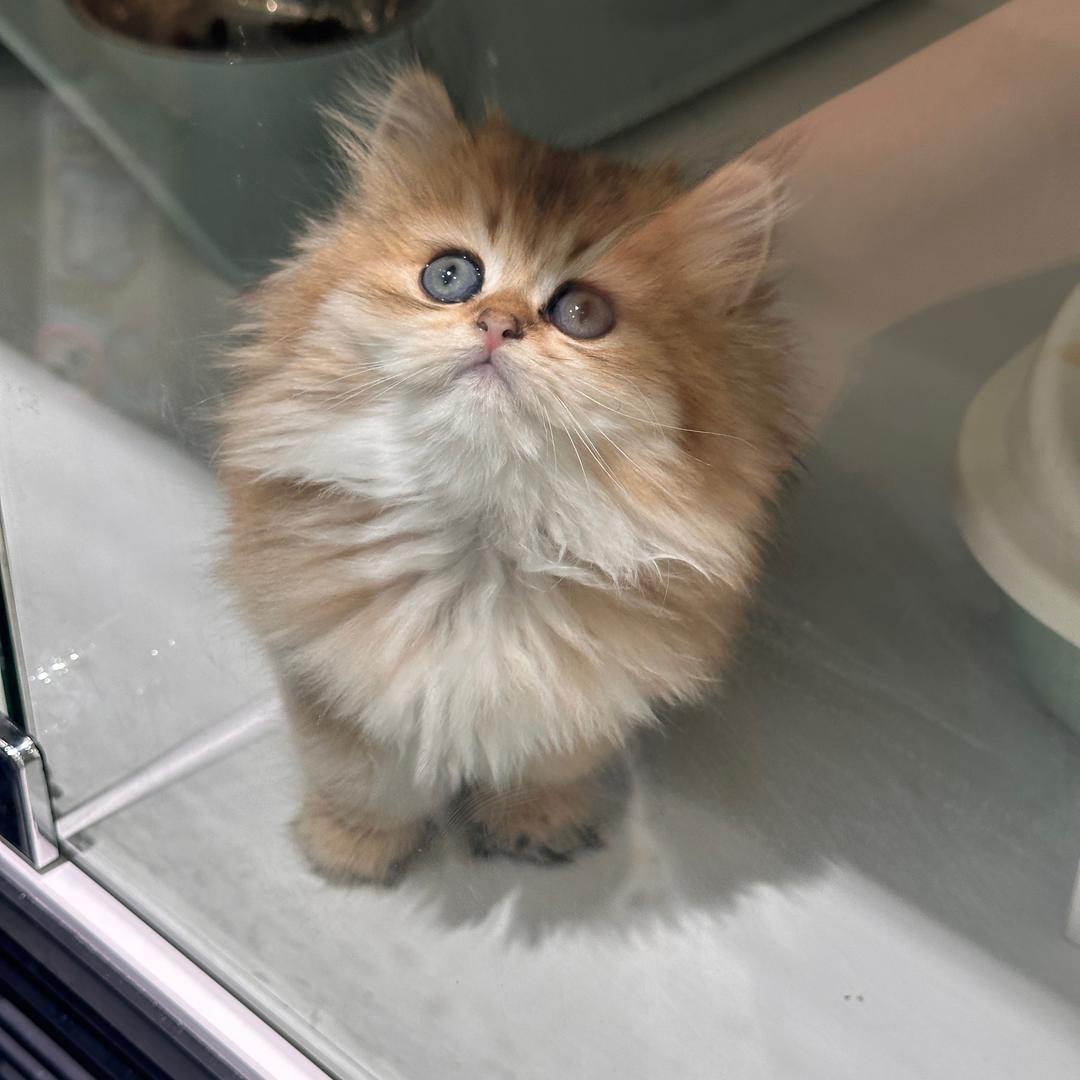 上海酩萝依商贸有限公司