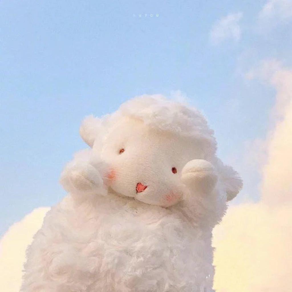 一只绵羊🐑*