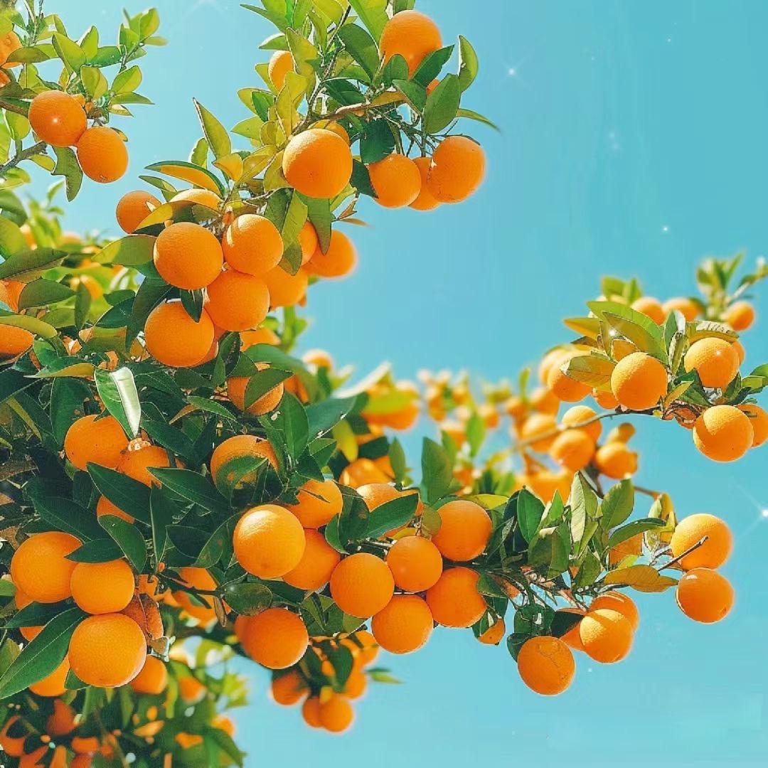 沐恩