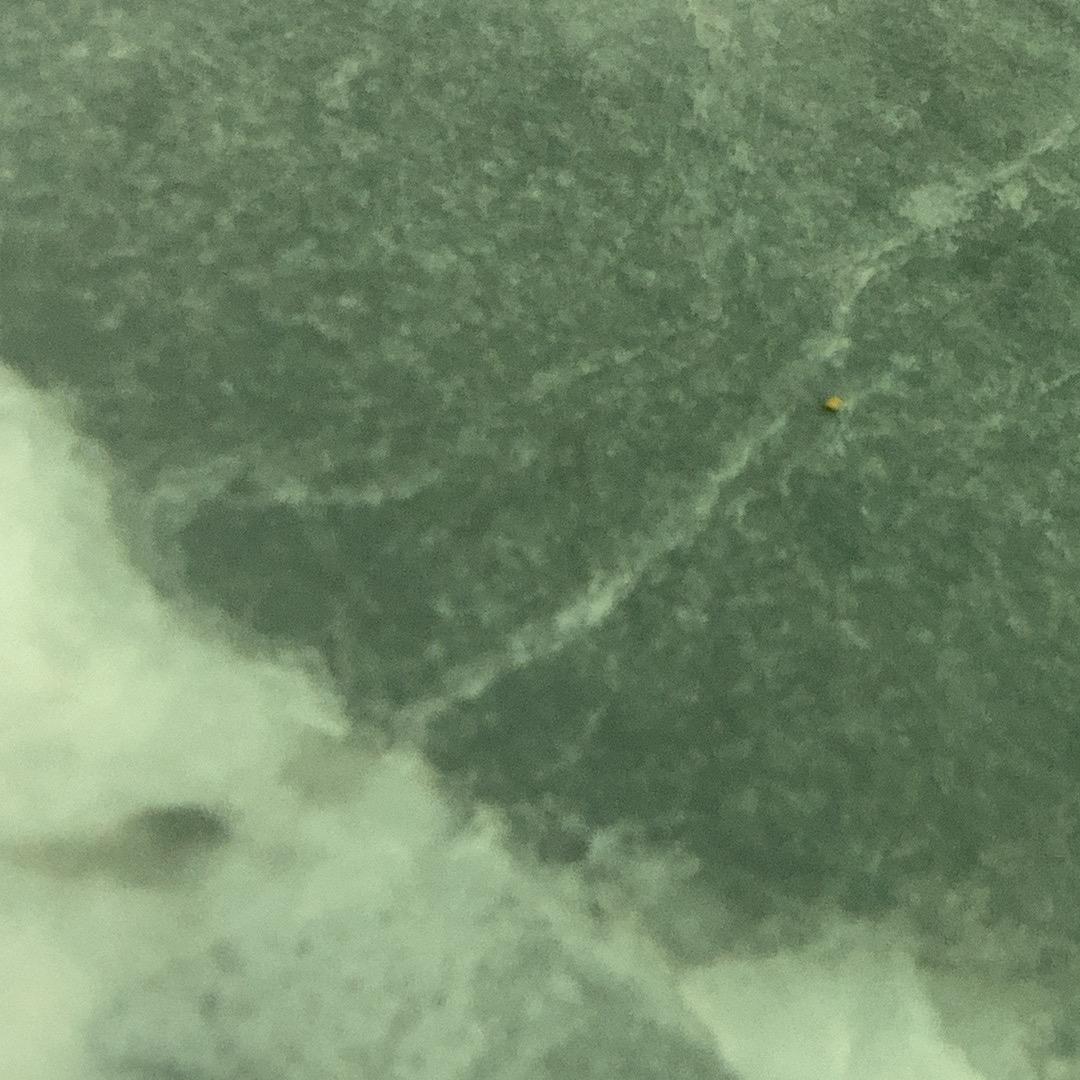 一张空白的纸