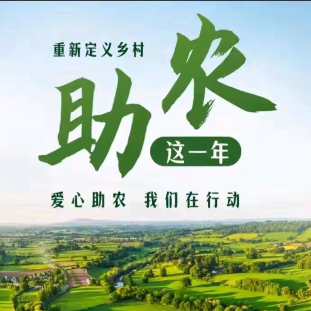 助力乡村水果