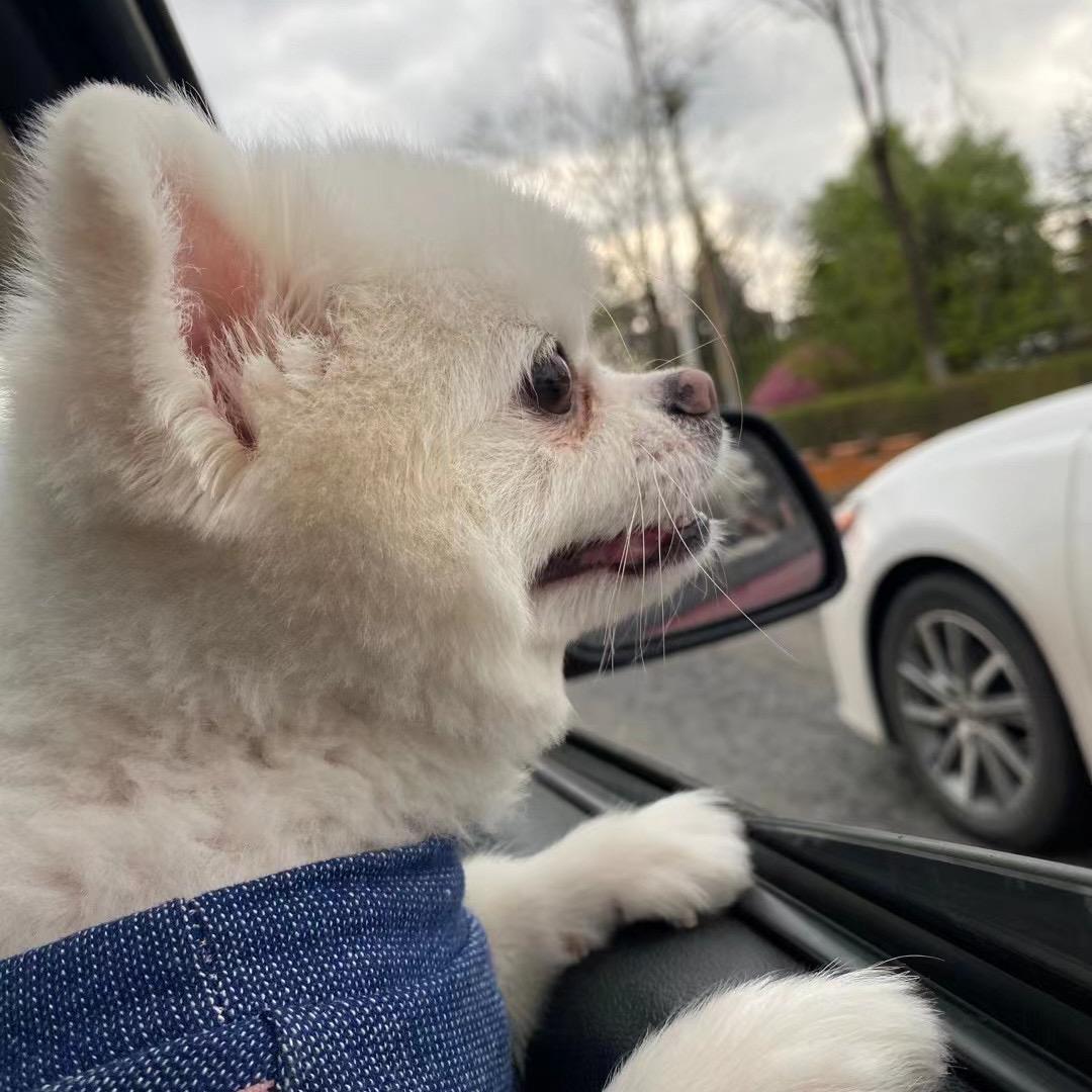 温柔的小于同学🌈